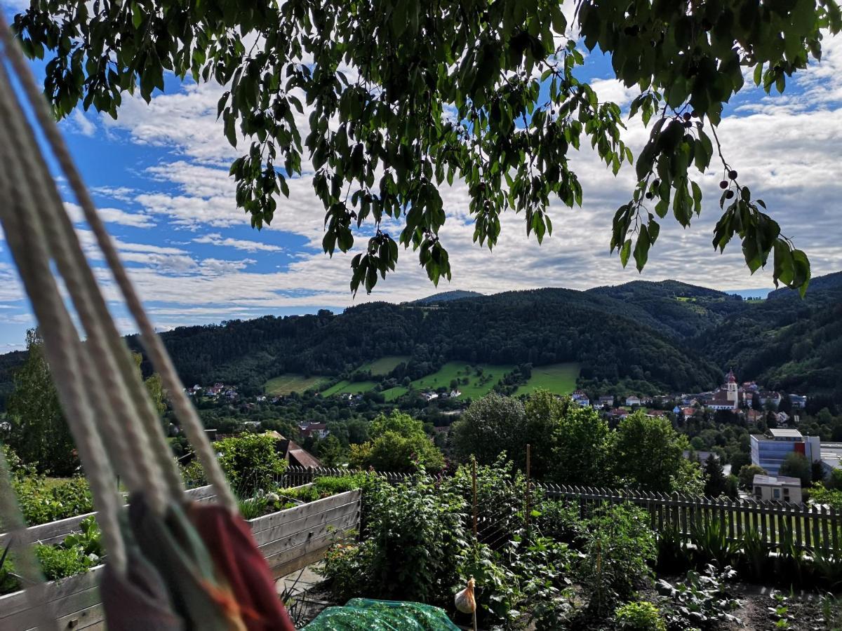 Kleinhofers Himbeernest Bed & Breakfast Anger  Екстериор снимка