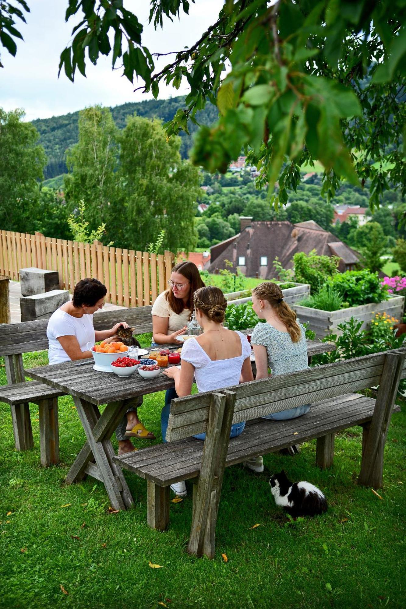 Kleinhofers Himbeernest Bed & Breakfast Anger  Екстериор снимка